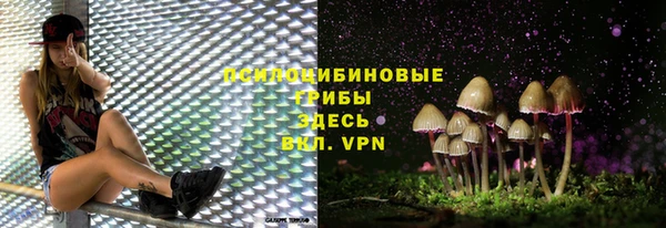 таблы Бородино
